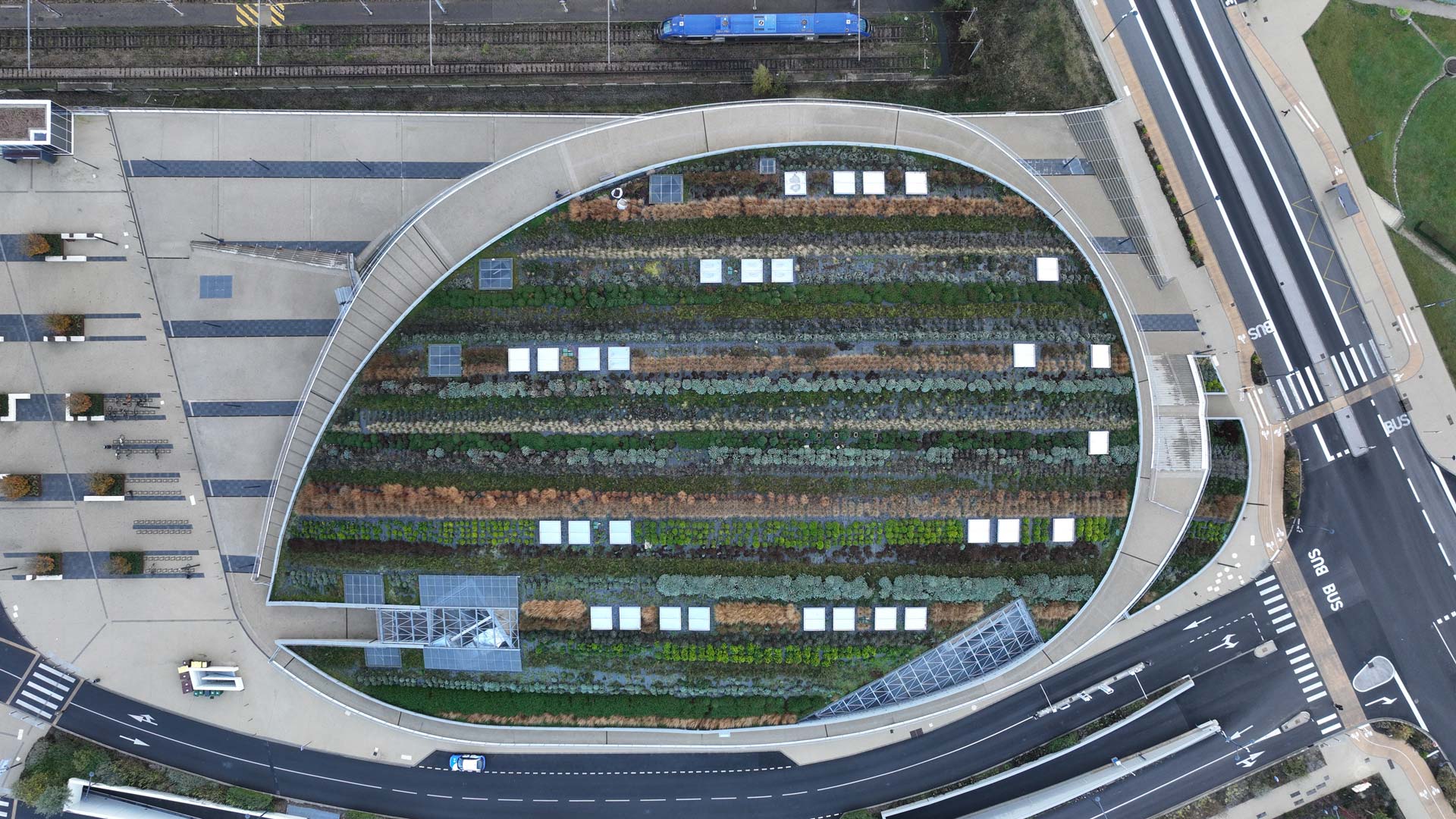 Le Colisée vu du ciel, avec son toit végétalisé Le Colisée vu du ciel, avec son toit végétalisé