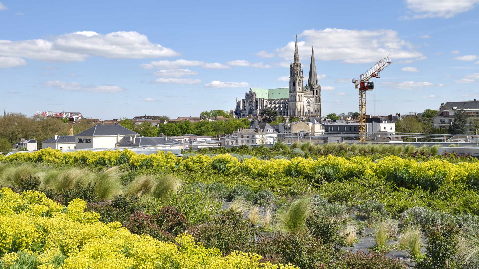 Le toit végétalisé du Colisée offre une belle vue sur la cathédrale. Crédit photo : Michel Denancé Le toit végétalisé du Colisée offre une belle vue sur la cathédrale. Crédit photo : Michel Denancé