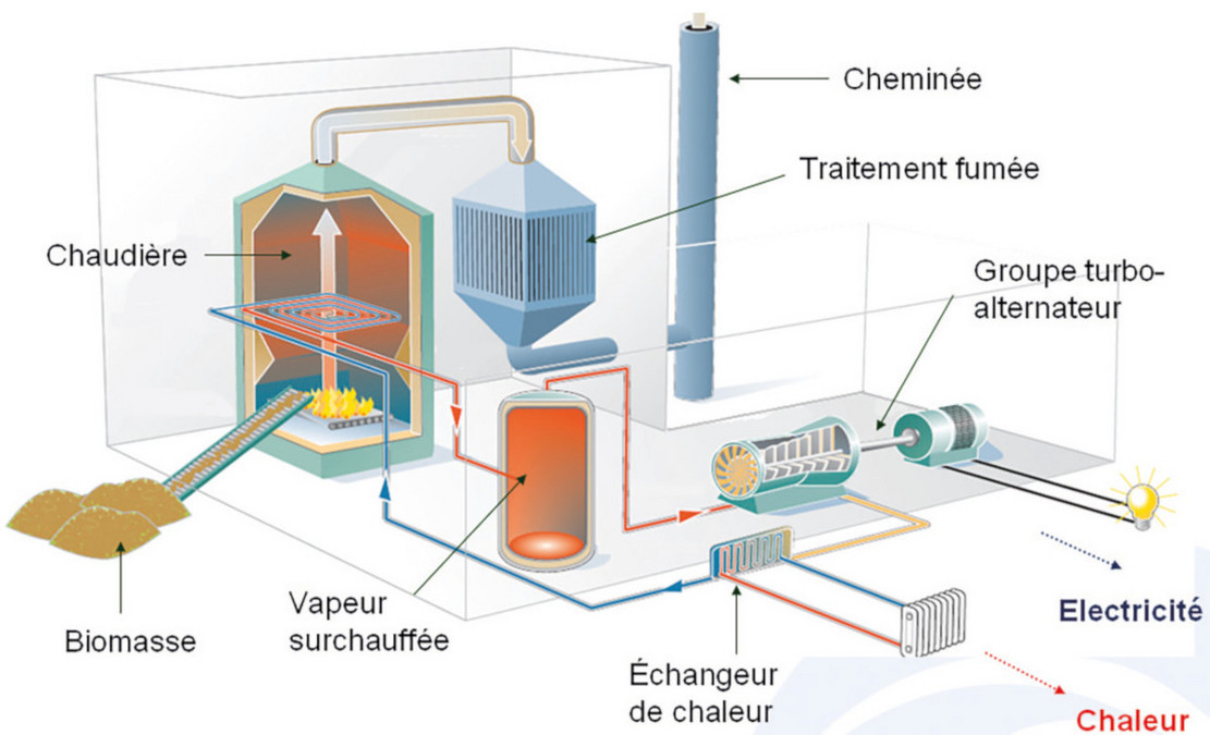 Fonctionnement de la centrale de cogénération biomasse
