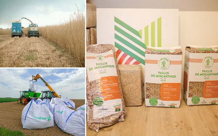 Vues de la récolte de miscanthus et des sacs de paillage