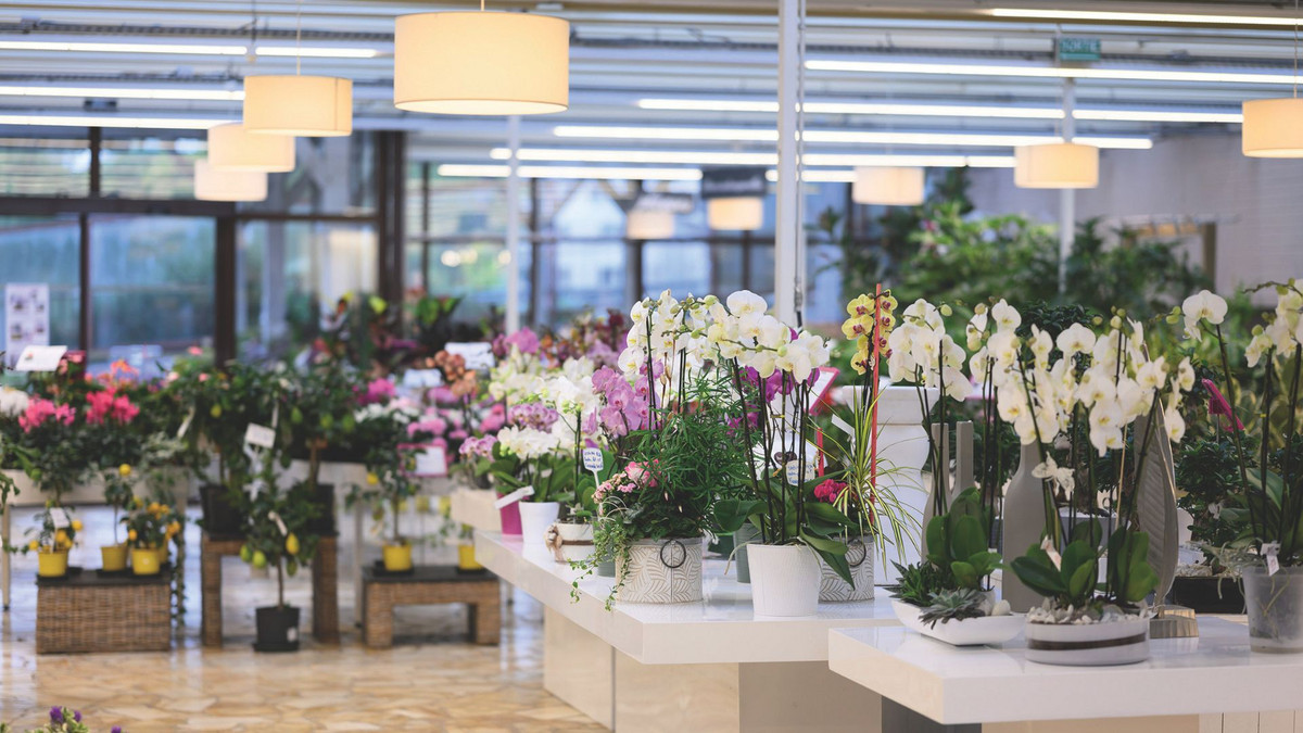 Vue sur l'intérieur de la boutique Isabelle Ménard Fleuriste avec des étalages de fleurs